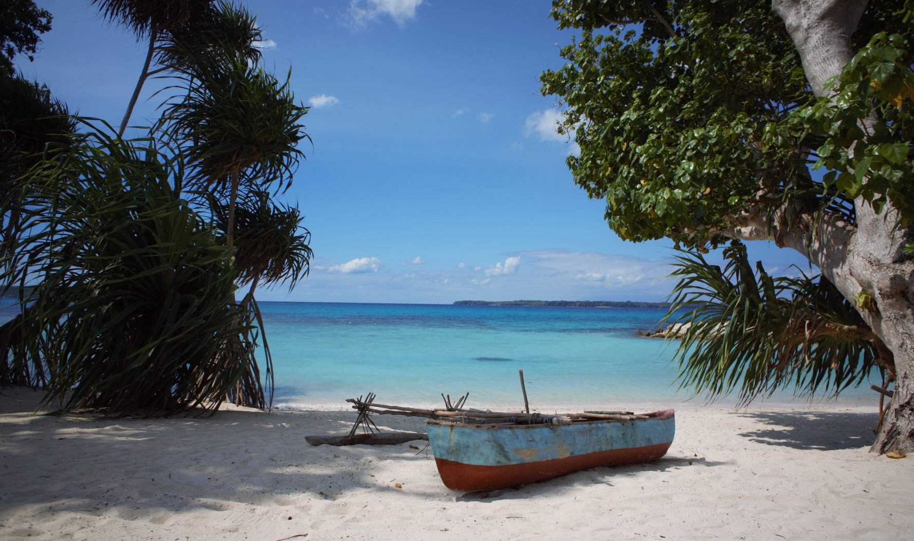 Ile Despiritu Santo étape Incontournable De Votre Voyage