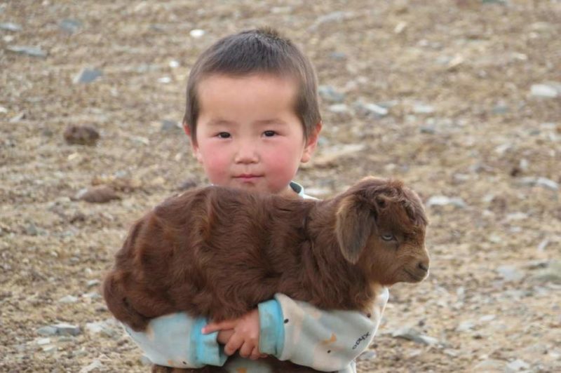 Enfant nomade portant une chèvre - Mongolie | Au Tigre Vanillé
