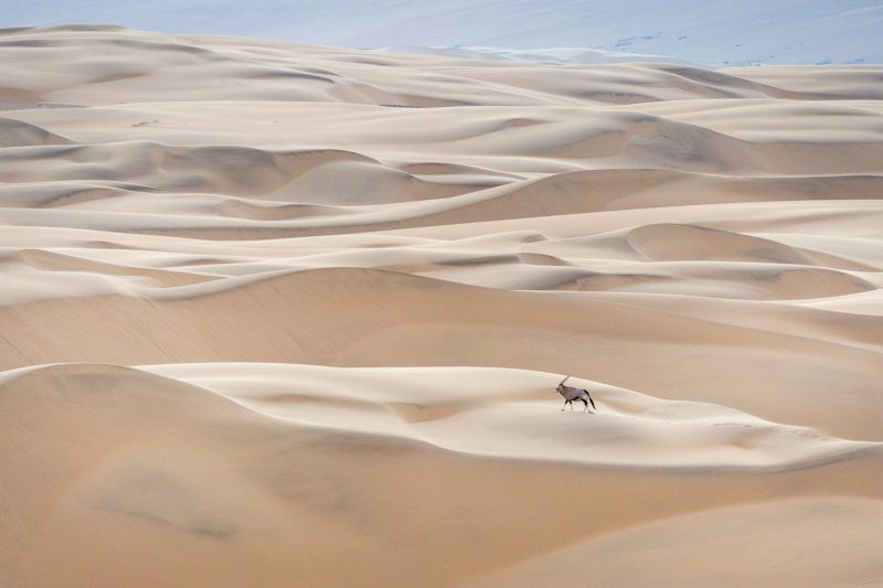 Survol des dunes de Marienfluss dans le Kaokoland - Namibie | Au Tigre Vanillé
