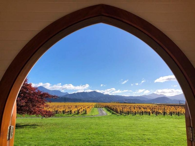 Dégustation et visite du vignoble de Clos Henri - Nouvelle-Zélande | Au Tigre Vanillé