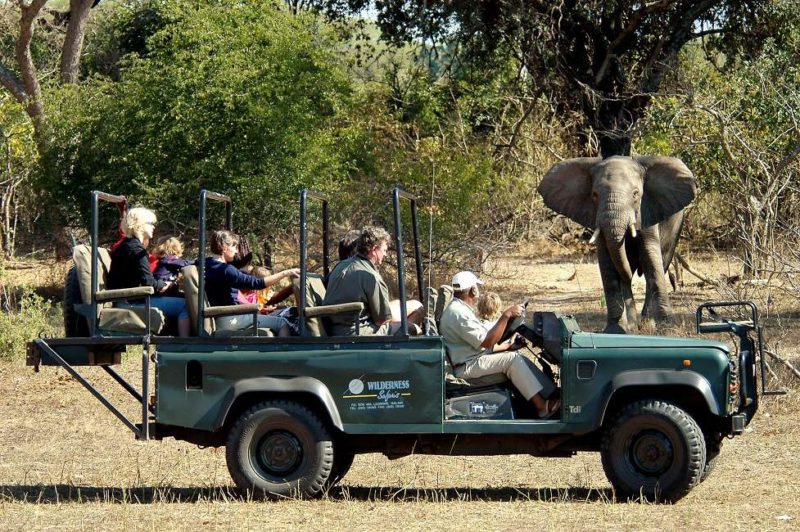 Rencontre avec un éléphant lors d'un safari en 4x4 dans la réserve de Majete - Malawi | Au Tigre Vanillé