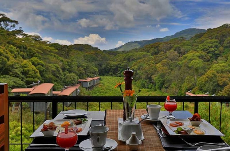 Vue depuis le petit-dejeuner de l'hotel Rainforest à Sinharaja - Sri Lanka | Au Tigre Vanillé