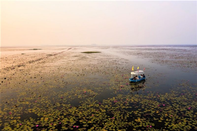 Barque sur un lac de lotus à Khanom- Thaïlande | Au Tigre Vanillé